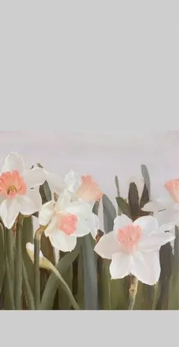 ins头像拼接壁纸