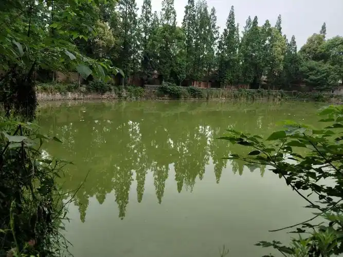 饮马池