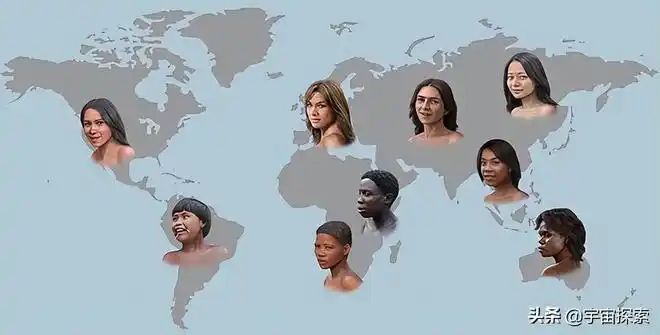 现代|人种|智人_网易订阅