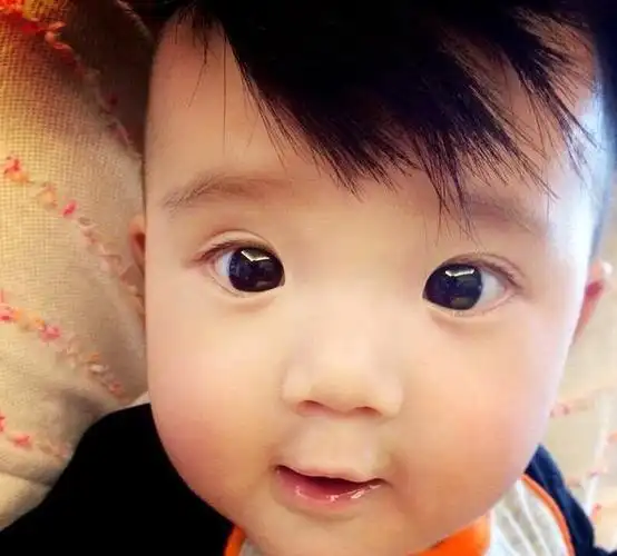 还未上过综艺节目的娃娃 你最期待谁?