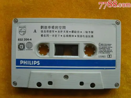 刘德华爱的空间裸带