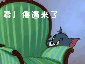 猫和老鼠的闺蜜头