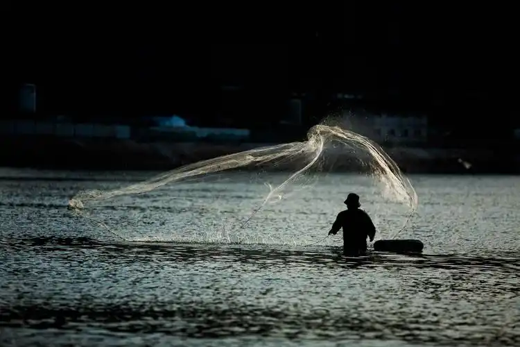 撒网捕鱼