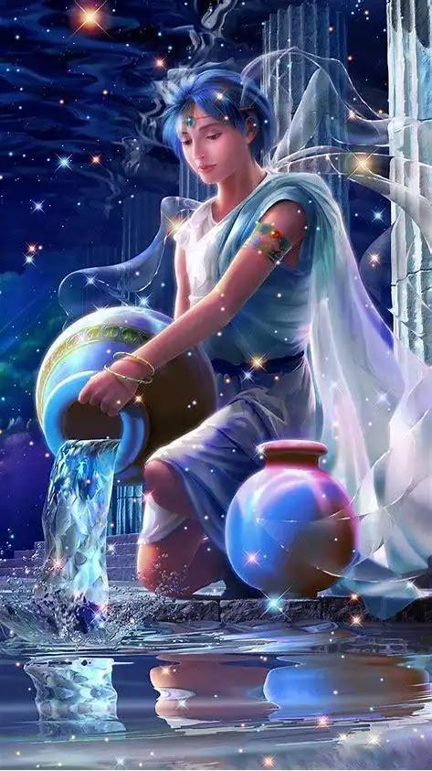 水瓶座(1/20-2/18)