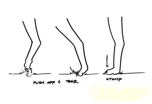 国外草坪养护最新指南三疏松土壤