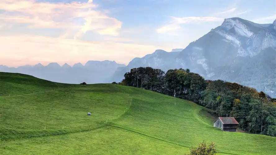 好看的桌面壁纸电脑桌面壁纸软件