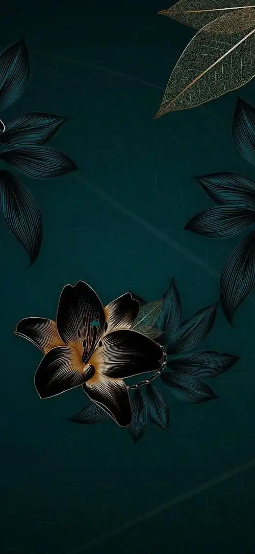 这张适配华为曲面屏幕系列手机预告:下期放星空和地球主题壁纸,谢谢