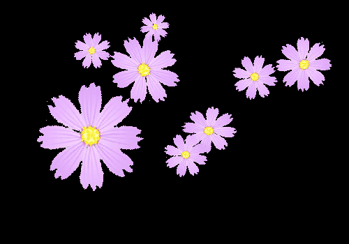 唯美动态图,背景图