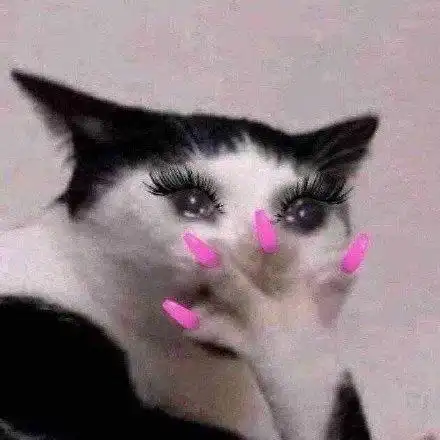 猫咪粉色指甲捂嘴流泪表情包_猫咪_指甲_粉色_捂嘴表情