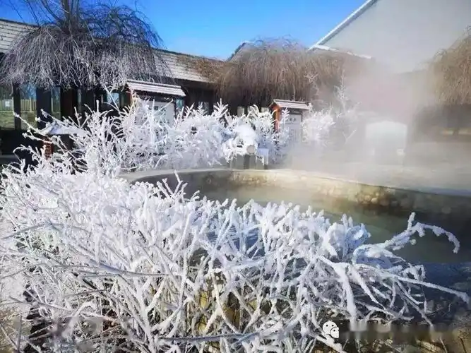 新年第一次温泉:1月1日 圣德泉2日游 227元