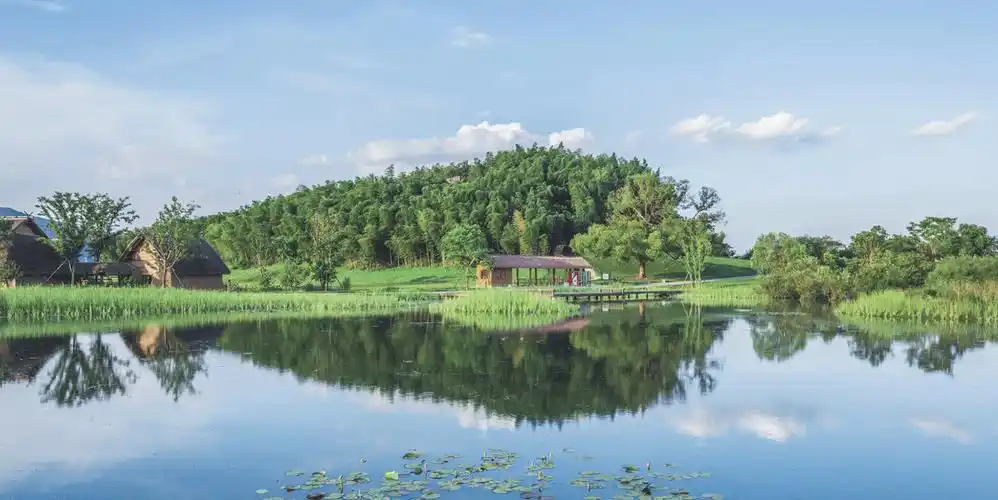 杭州良渚古城遗址的夏日美景