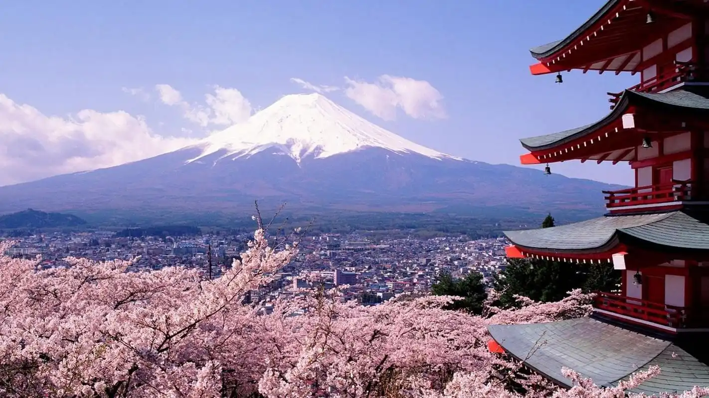 绚丽日本樱花唯美高清桌面壁纸_风景壁纸_壁纸下载_美桌网