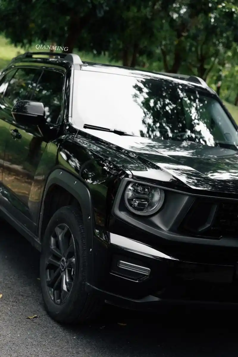 "哈弗二代大狗黑武士 "