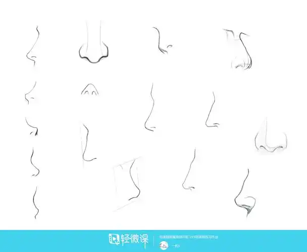 作业:怎么学插画设计之鼻子的画法与训练技巧 - 一粒li - 轻微课