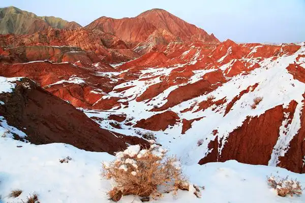 【纪检人·镜头】魅力克州"高原红"