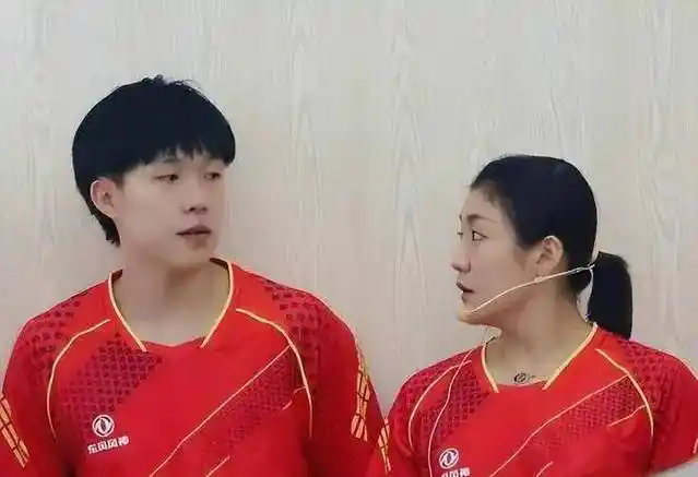 原创陈梦母亲抢注王楚钦商标力证两人恋情莎头正式成为过去式