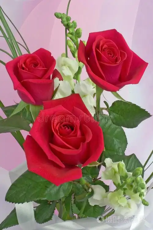 花束粉红玫瑰一束小玫瑰点缀着绿叶一束橙玫瑰一束康乃馨花玫瑰花百合