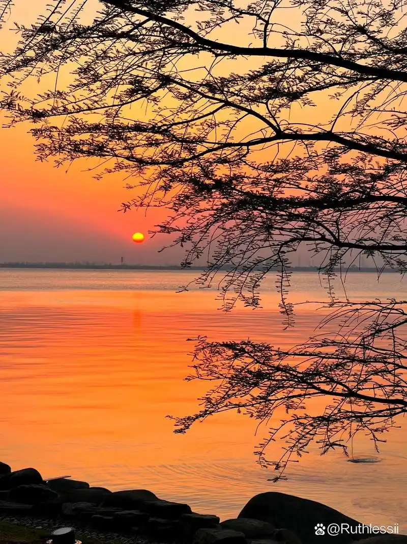 作者:shins     哈苏max#夕阳晚霞# #分享美图