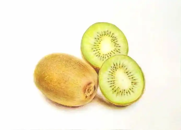 超写实的水果彩铅画,彩铅手绘美术作品