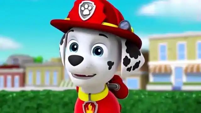 汪汪队立大功 聪明的莱德宝宝