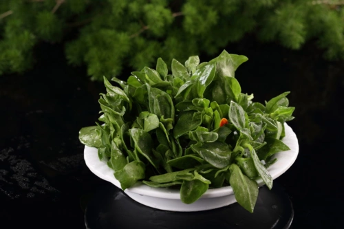 田七吃多了会产生什么副作用吗?