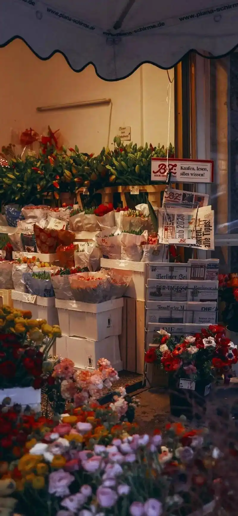 iphone12壁纸 #壁纸ins风 #花 #锁屏壁纸 玫 - 抖音