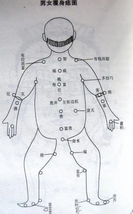 眉中痣草里藏珠或双龙戏珠是幸运痣眉中有痣必定有福