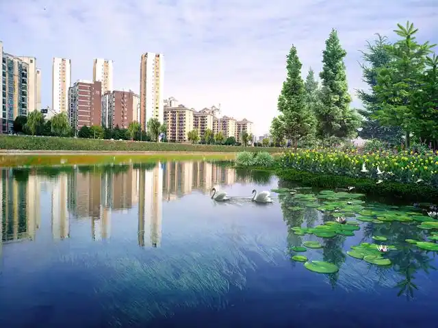 健康水生态系统