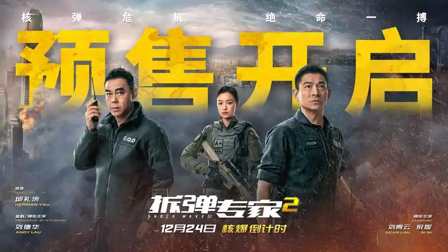 拆弹专家 2海报 14 poster