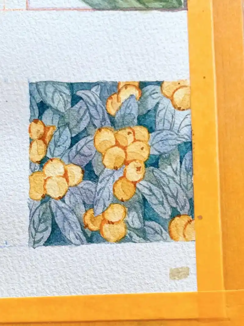 零基础学画画|枇杷|水彩手绘过程图04.#创作灵感  《二月 - 抖音
