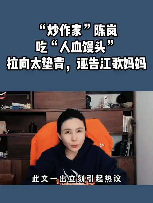 "炒作家"陈岚吃"人血馒头",拉向太垫背,诬告江歌妈妈-度小视