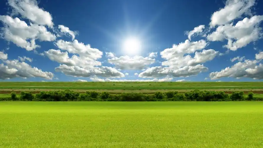 清新护眼绿色高清桌面壁纸_风景壁纸_壁纸下载_美桌网