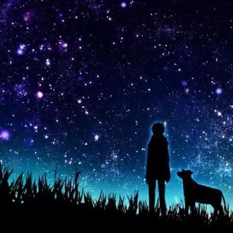 星空情侣头像配对 星空情侣头像配对图-喜鹊星座网