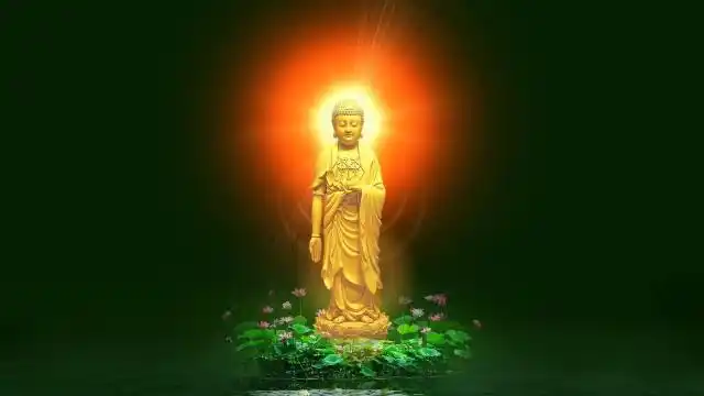 佛菩萨为何常坐在莲花上?