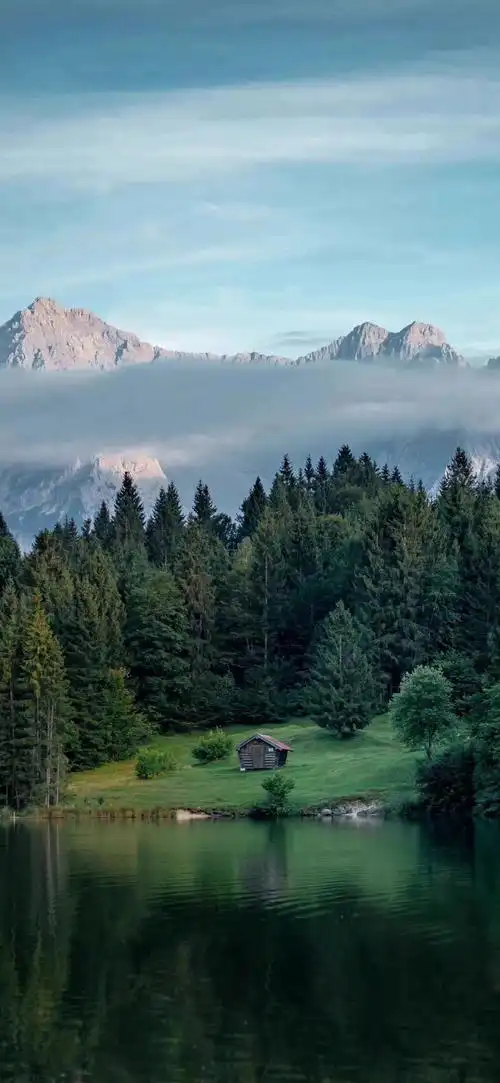 4k全面屏高清壁纸~~绿色系9191 - 知乎