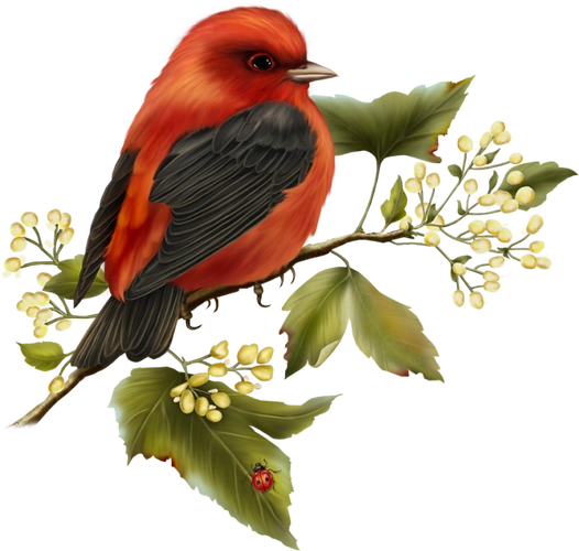 抠图装饰元素手绘植物插画边框png盆栽植物绿色叶子透明素材免扣素材