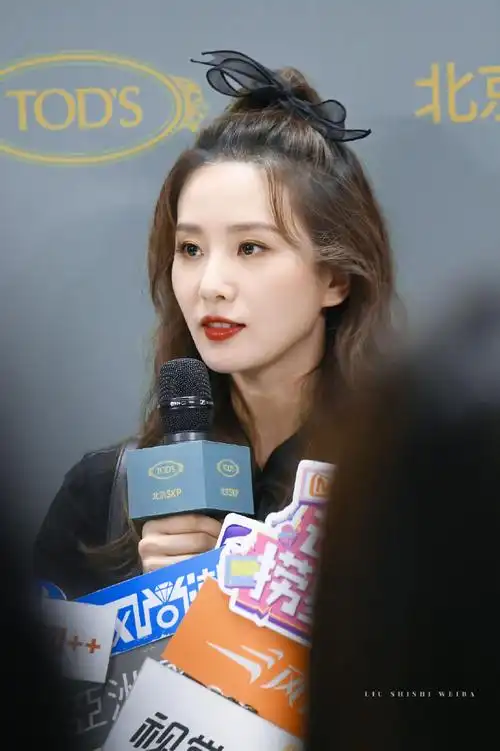 刘诗诗卷发高马尾