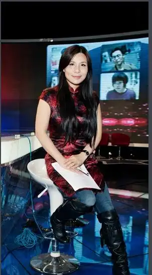 来看看,所谓作家陈岚是何许人.