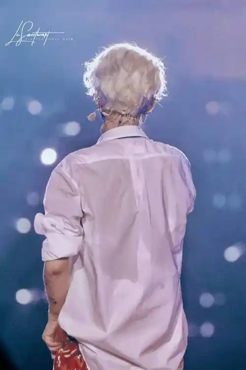 鹿晗演唱会背影图##鹿晗三巡