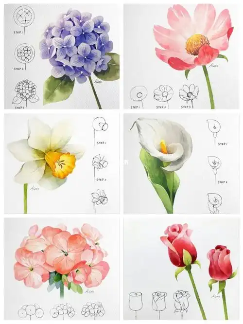 入门级清新水彩花卉图解过程分享
