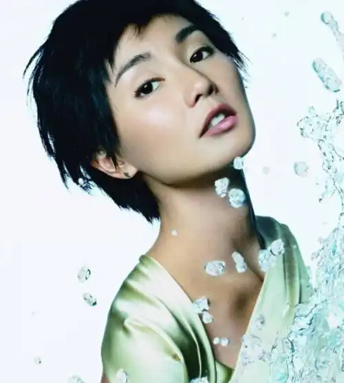 张曼玉是什么星座,张曼玉个人资料