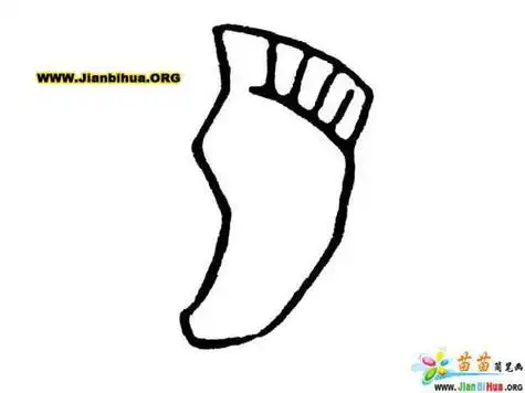 脚的简笔画画法7张 第8张