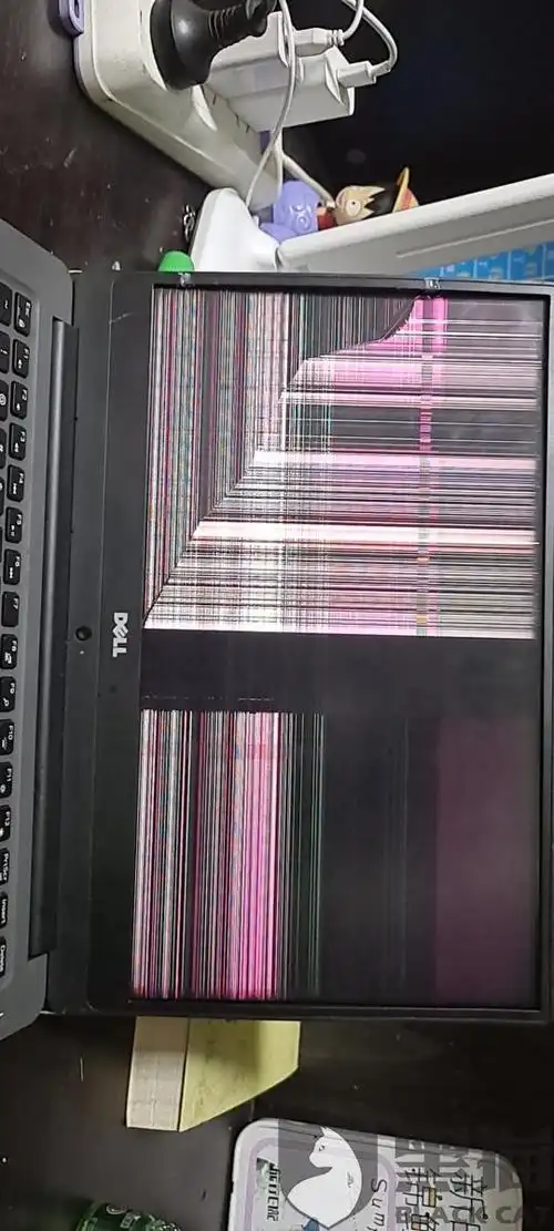 刚买一个月的笔记本电脑屏幕漏液,原价260,结果拼多多客服只退我100元