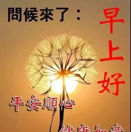 2019最新漂亮早上好问候动态图片带字,暖心的早安问候语祝福语录