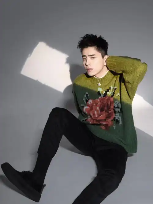 王大陆绿色毛衣帅气活动照图片29