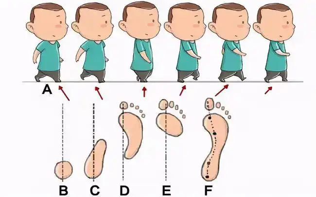 正确的走路姿势受力点应该是下面这样