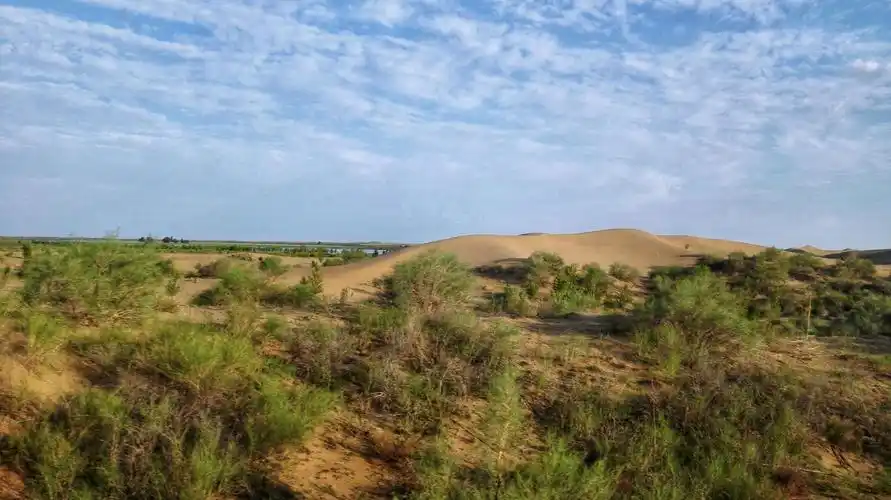 中科院西北生态环境资源研究院 书画摄影协会 第二届摄影书画展