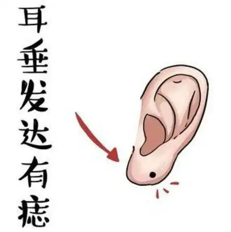 这三种类型的耳朵有福气