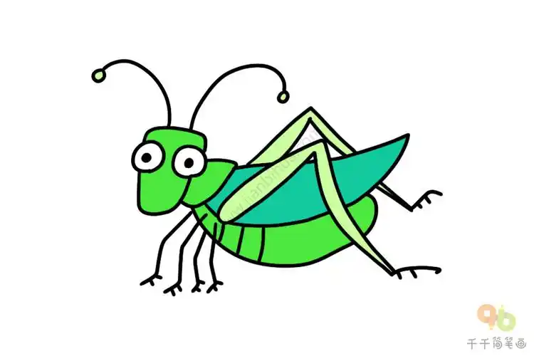 蝈蝈简笔画图片