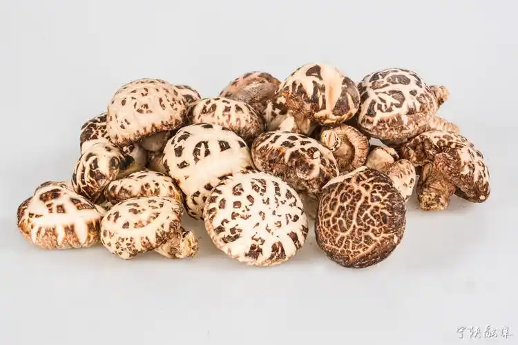 宁陕山珍将亮相安康龙舟节